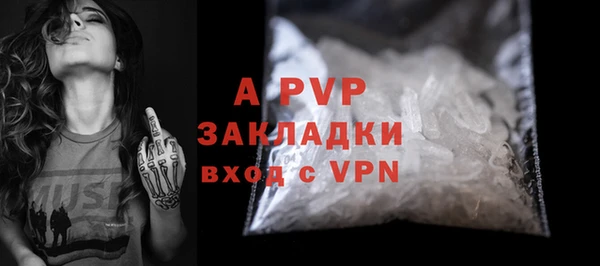прущие грибы Вязники