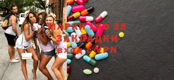 прущие грибы Вязники