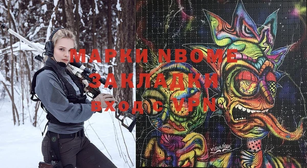 прущие грибы Вязники
