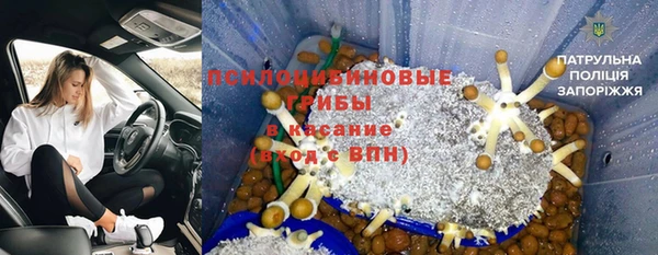 спиды Вязьма