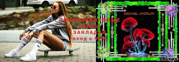 дмт Вяземский
