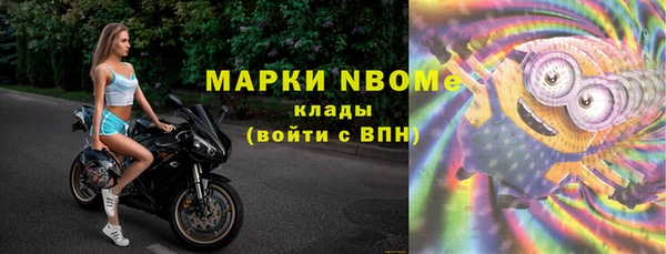 прущие грибы Вязники