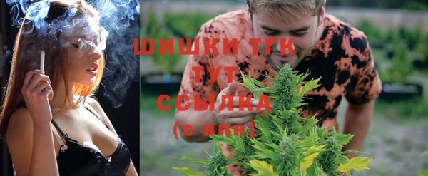 прущие грибы Вязники