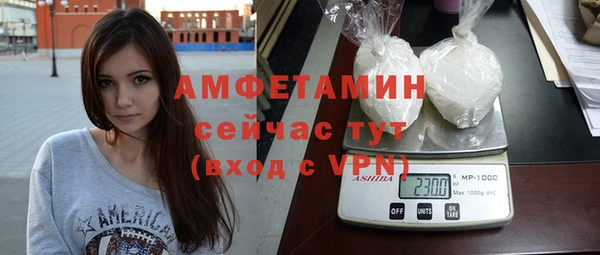 прущие грибы Вязники