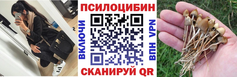 Псилоцибиновые грибы мицелий  Купить где  Бутурлиновка 
